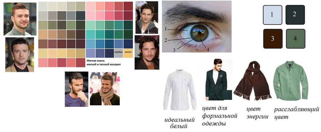 Какой цвет одежды подходит мужчинам с карими глазами