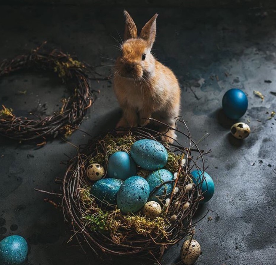 Покраска яиц на Пасху 2021 года: 56 фото самых красивых идей
