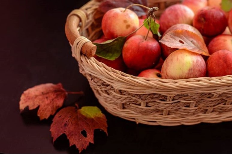 Что приготовить с большого количества яблок: рецепты с фото
