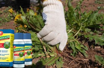 Эффективное средство от сорняков «Биогард»