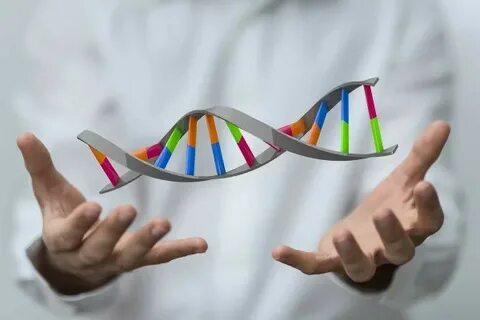 Что такое ДНК тест на этническое происхождение?